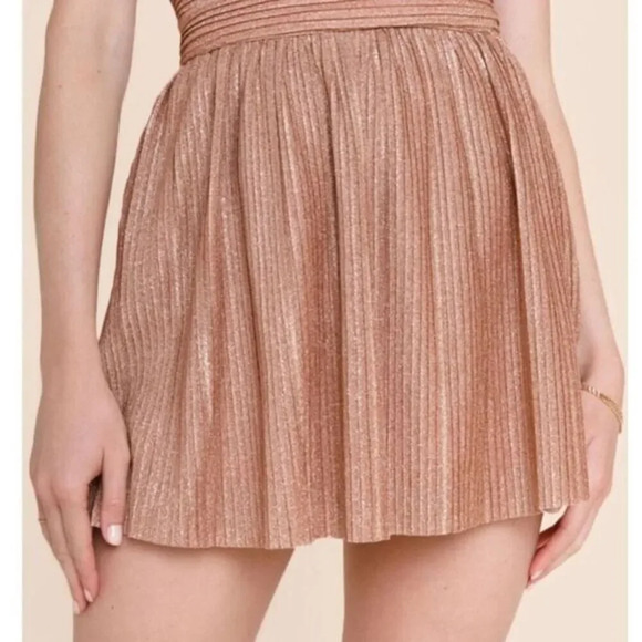 Francesca's Caitlyn Metallic Mini Pleated Skirt Size Small - Picture 1 of 6